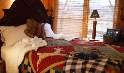 bed and breakfast inn Sevierville